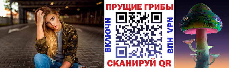 Псилоцибиновые грибы GOLDEN TEACHER Далматово